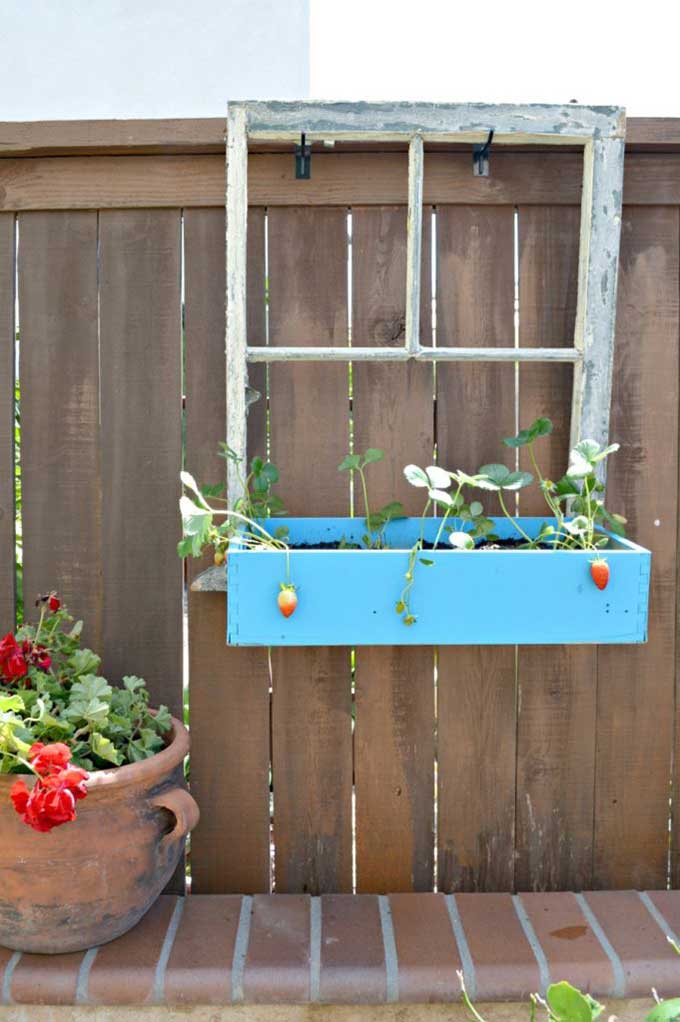 Repurposing window into planter