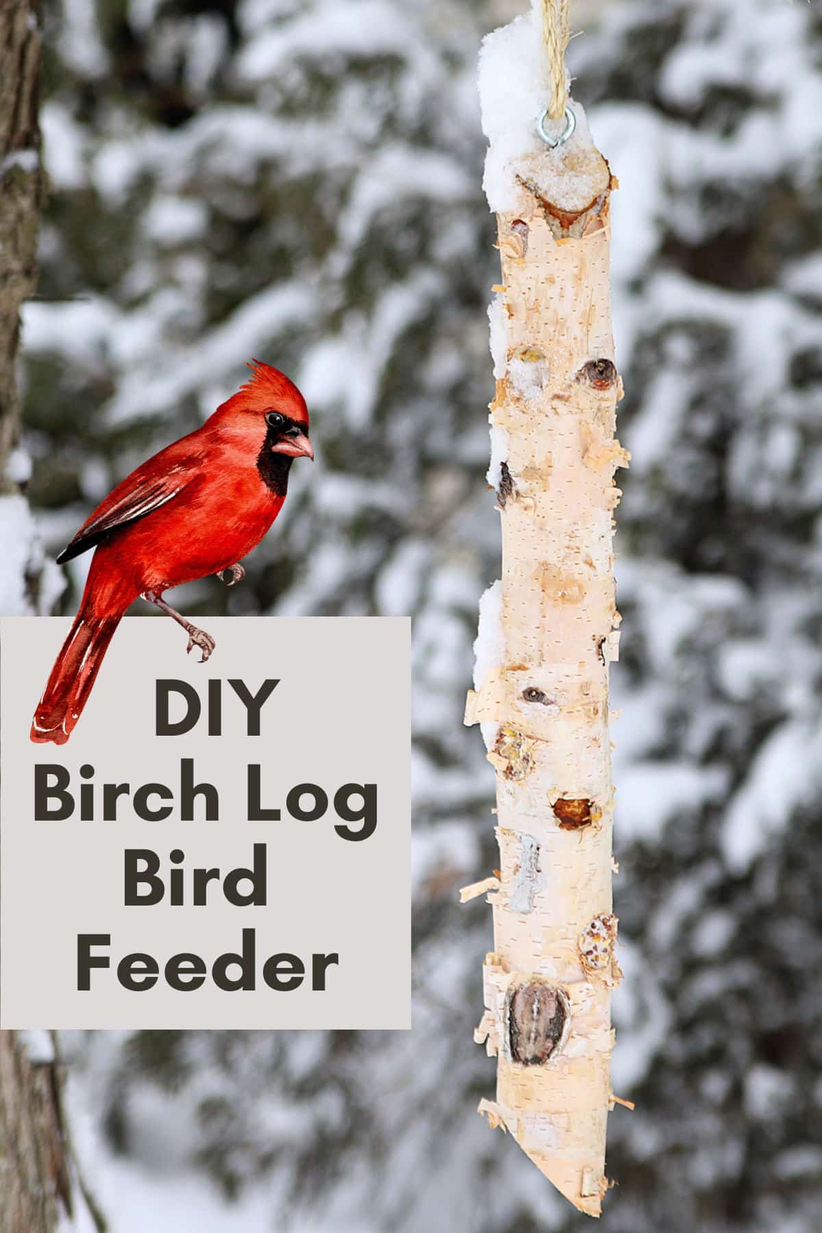 DIY bird feeder made out of a birch log. A quick and easy winter craft project.