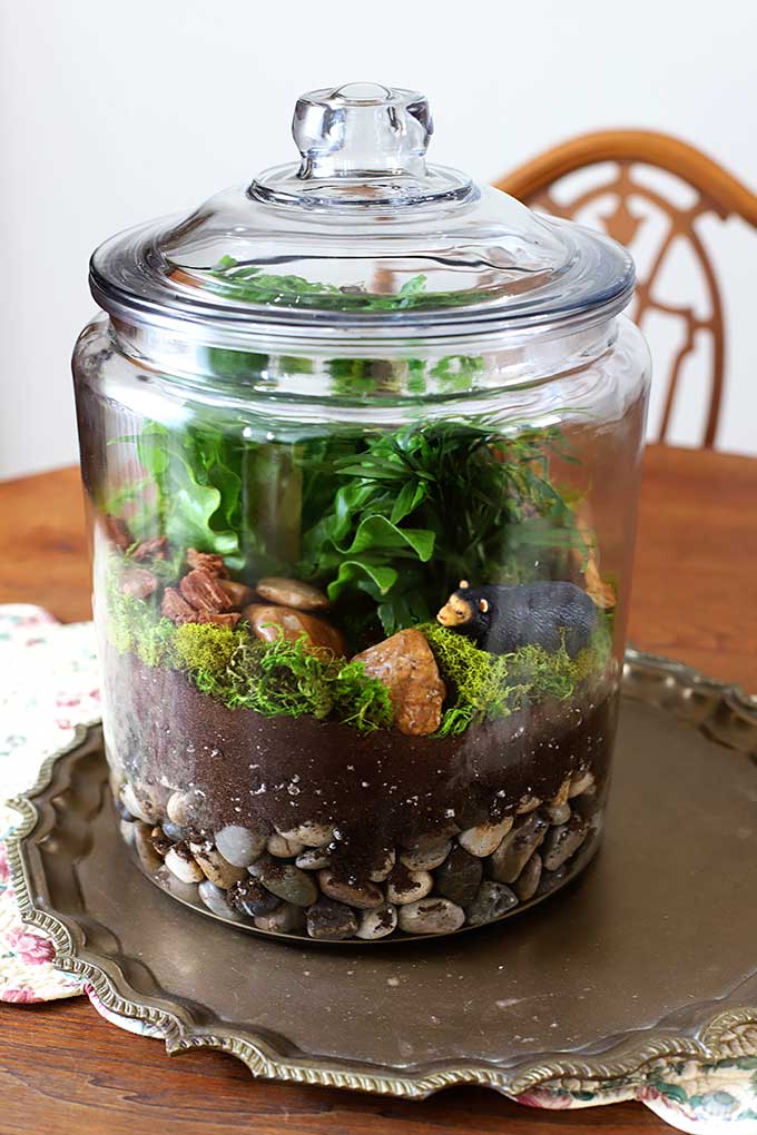 DIY Terrarium A Woodland Version House of Hawthornes