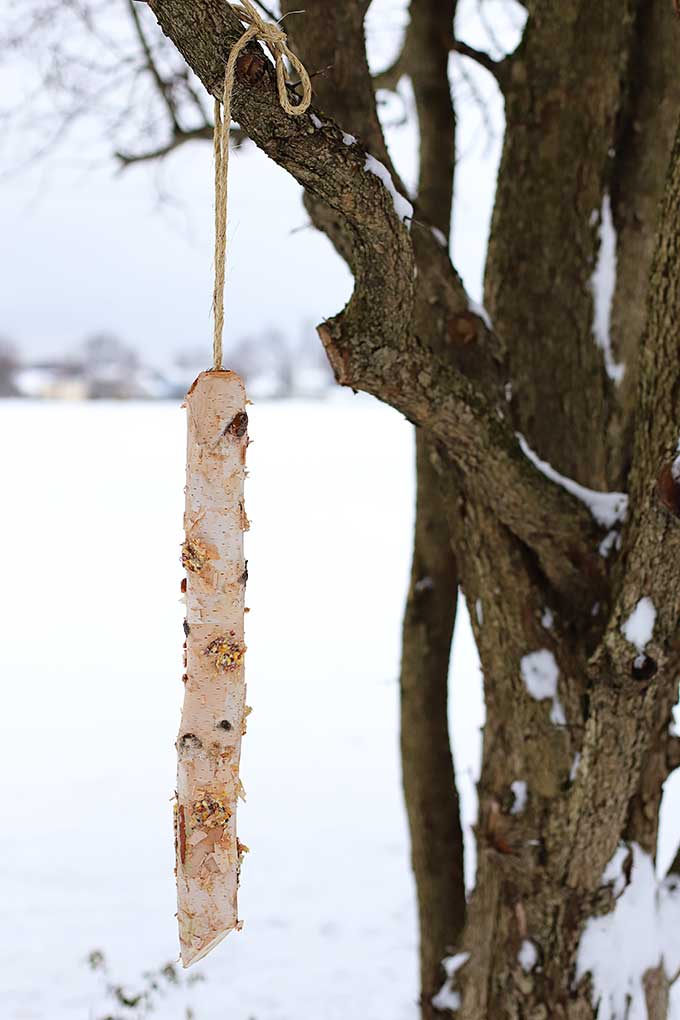 Rustic Log Bird Feeder Diy House Of Hawthornes