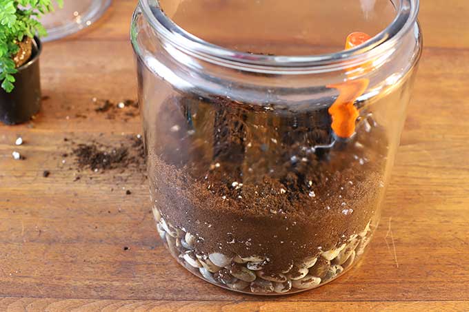 Terrarium potting soil