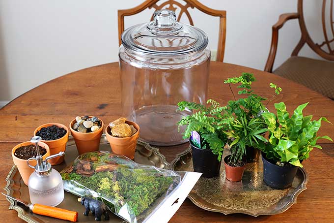 Terrarium supplies