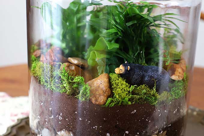 Woodland terrarium