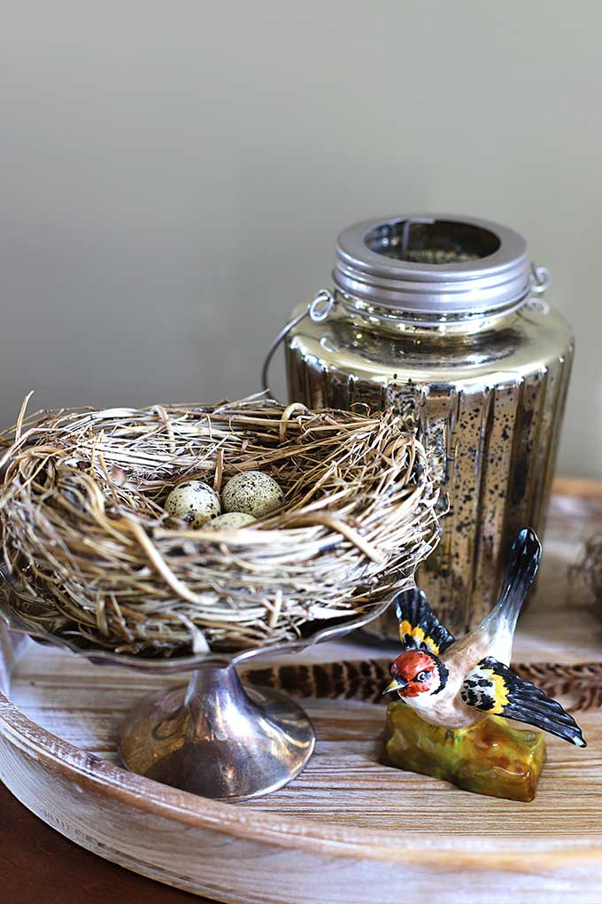 Using a birds nest as spring decor