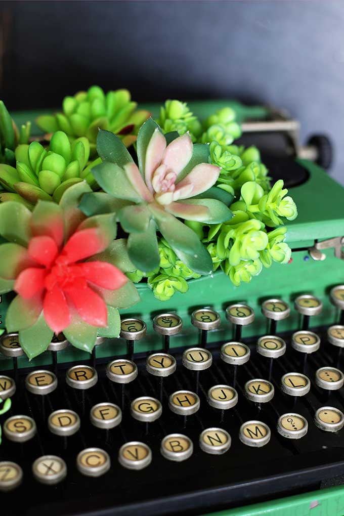 Faux succulents in a green typewriter