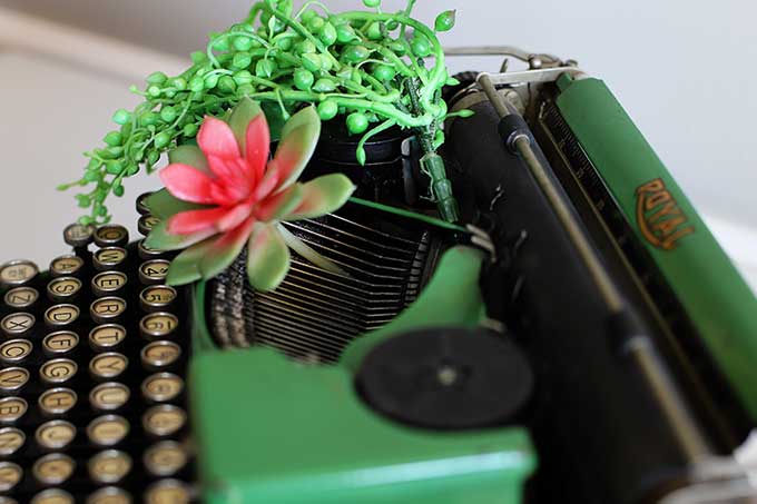 Placing succulents in typewriter