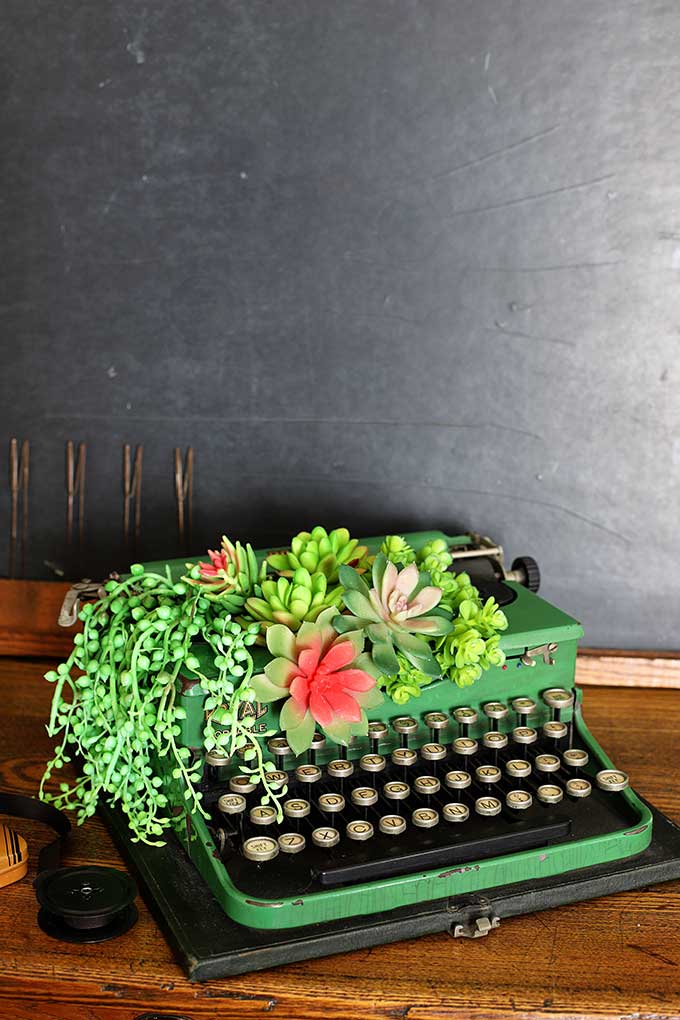 Green royal typewriter turned into a succulent planter.