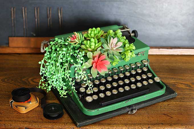 Typewriter planter