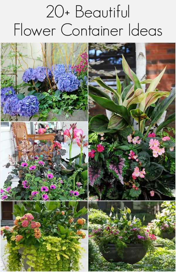 Colorful Flower Container Ideas - House of Hawthornes