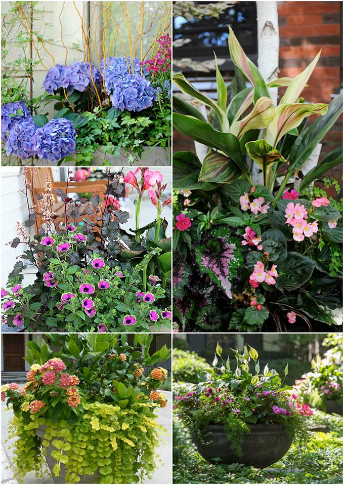 A collection of beautiful and colorful flower container ideas for your porch and patio! Lots of unique and unexpected summer porch planter ideas.