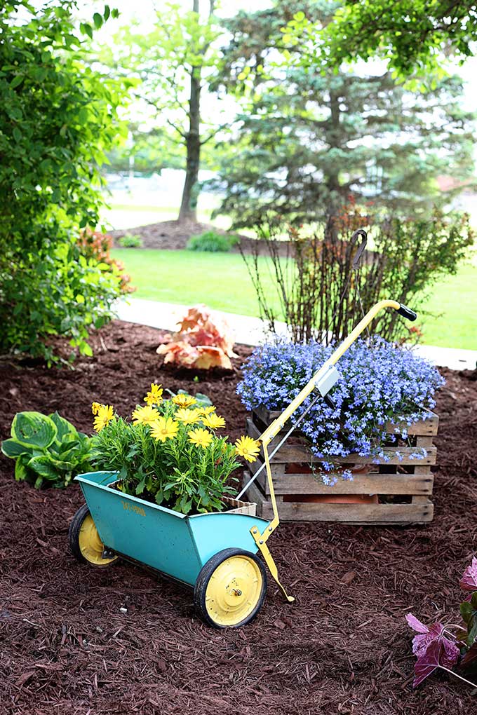 Vintage seed spreader repurposed as a planter