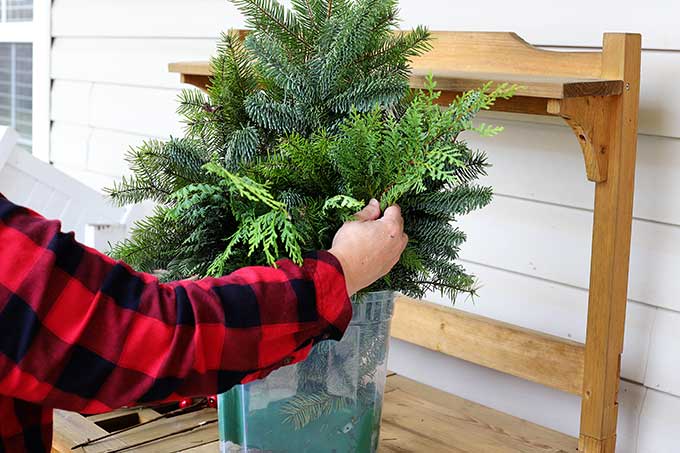 using Cedar in Christmas decor