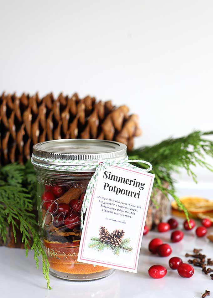 Christmas Simmer Pot Gifts & Printable Gift Tags - Slay At Home Mother