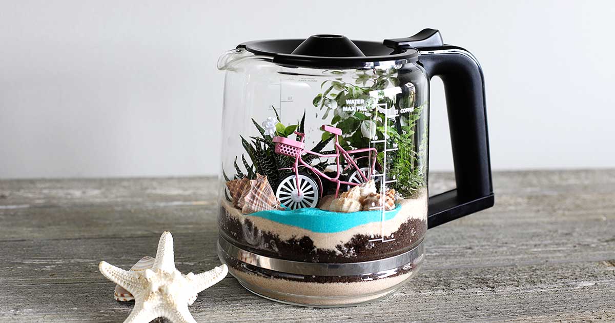 DIY Coffee Pot Terrarium - House of Hawthornes