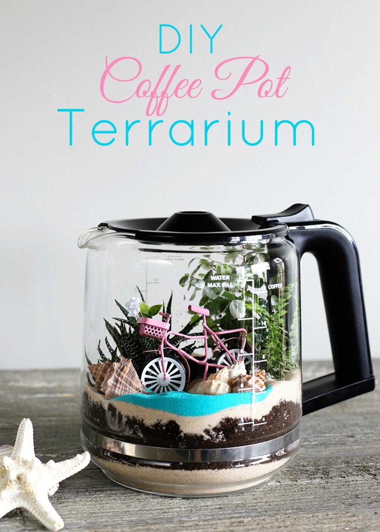 DIY Coffee Pot Terrarium House of Hawthornes