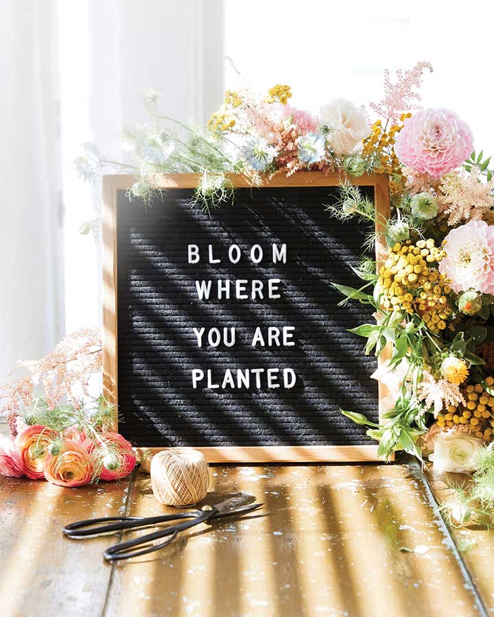 Letter board quote for spring