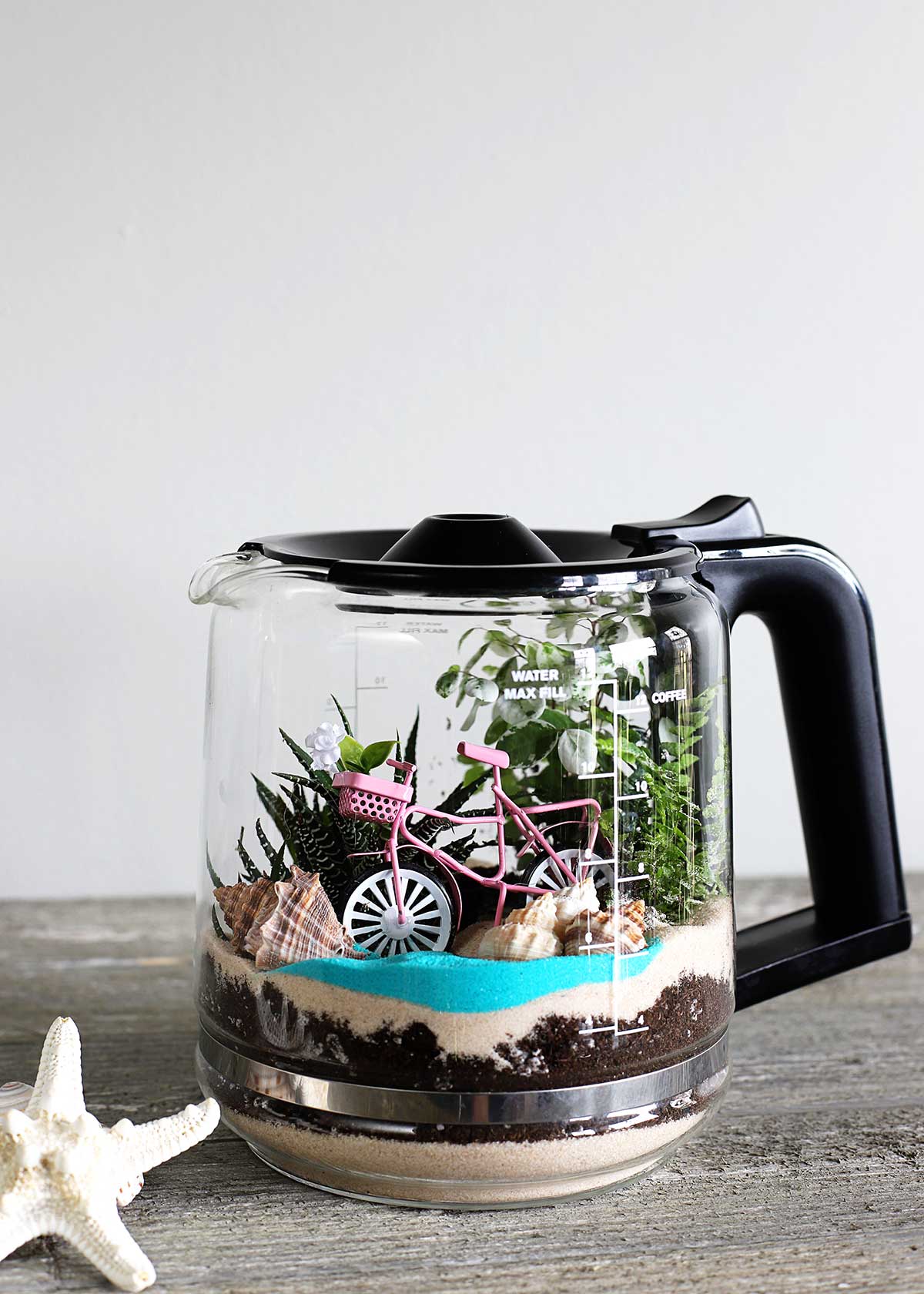 DIY Coffee Pot Terrarium - House of Hawthornes