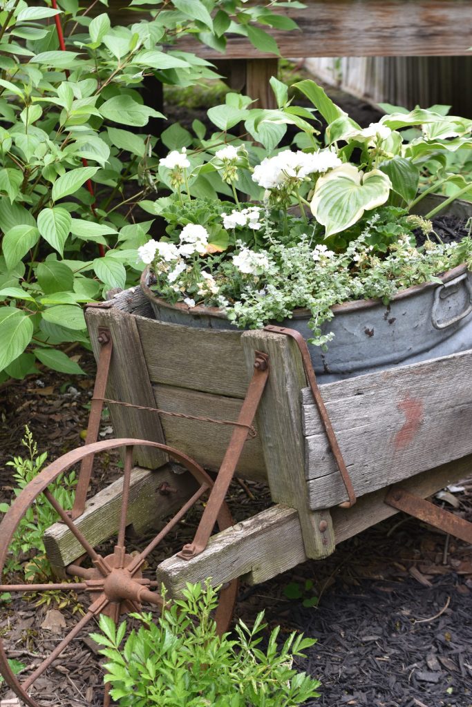 washtub-planter