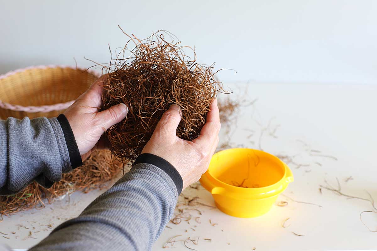 forming sisal for bird nest