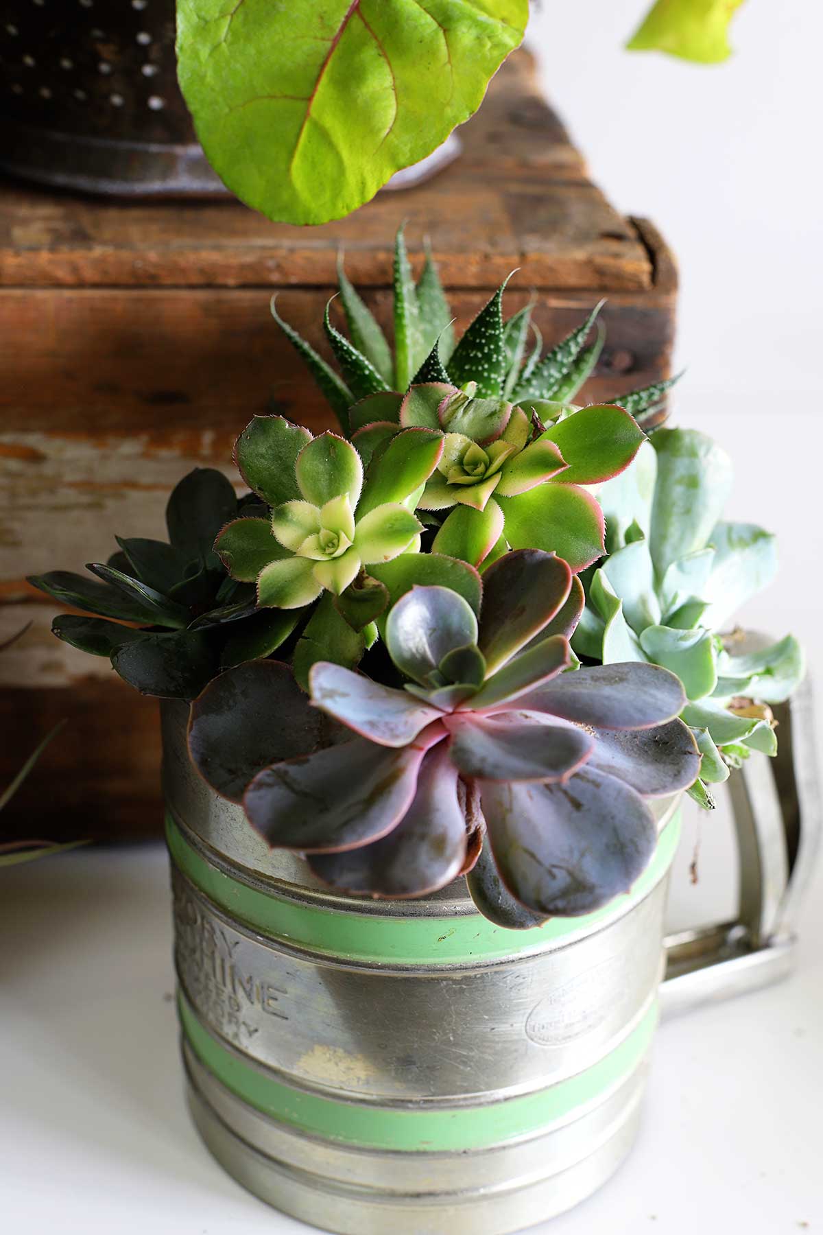 vintage kitchen tools repurposed into planters