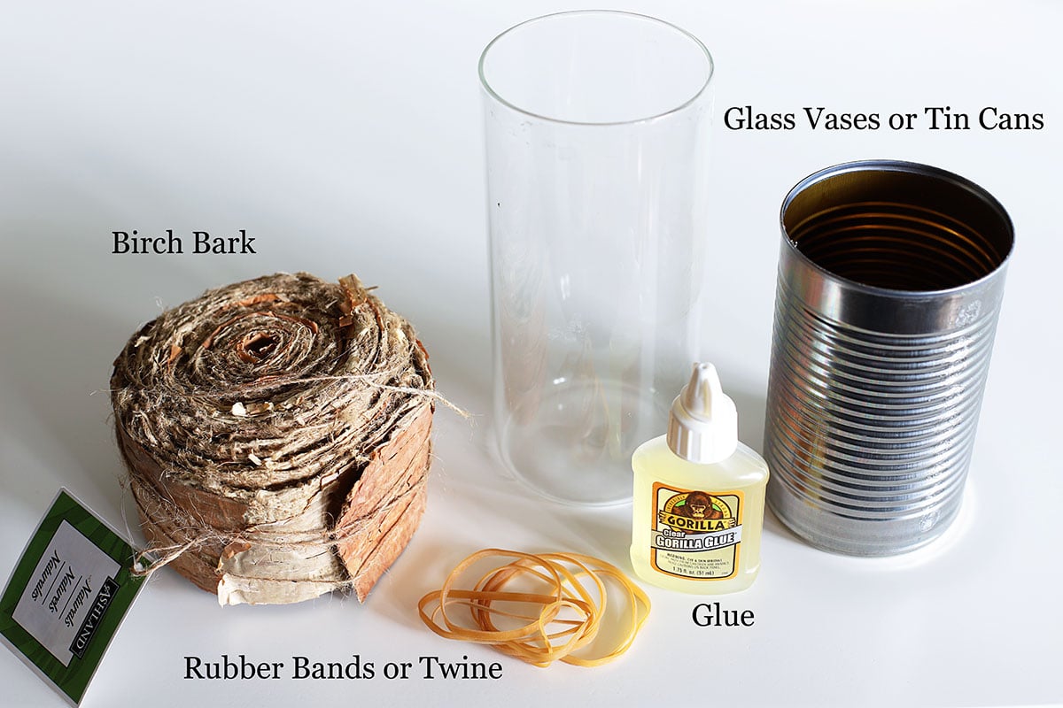 supplies to make your own rustic birch bark vases