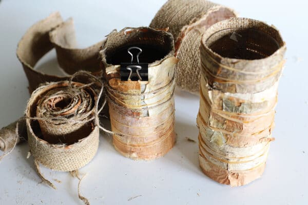 Rustic Birch Bark Vase DIY - House of Hawthornes