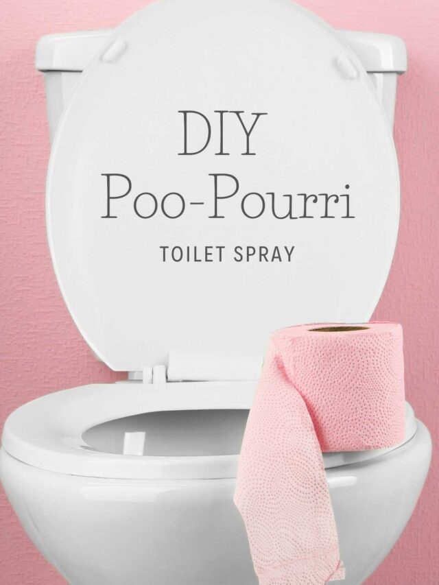 HOMEMADE POO POURRI TOILET SPRAY (Story)