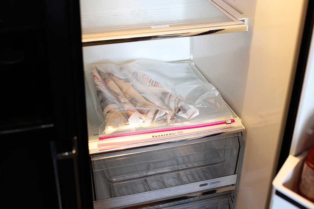 Peonies setting in the bottom shelf of a refrigerator to extend their bloom time.