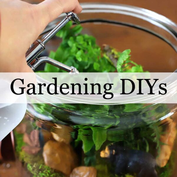 DIY Garden Projects