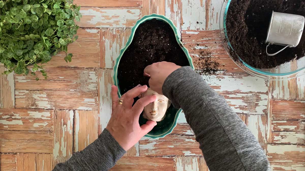 Make sure to put potting soil in the smaller pot also.