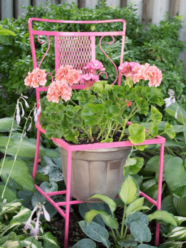 25+ UPCYCLED GARDEN IDEAS STORY