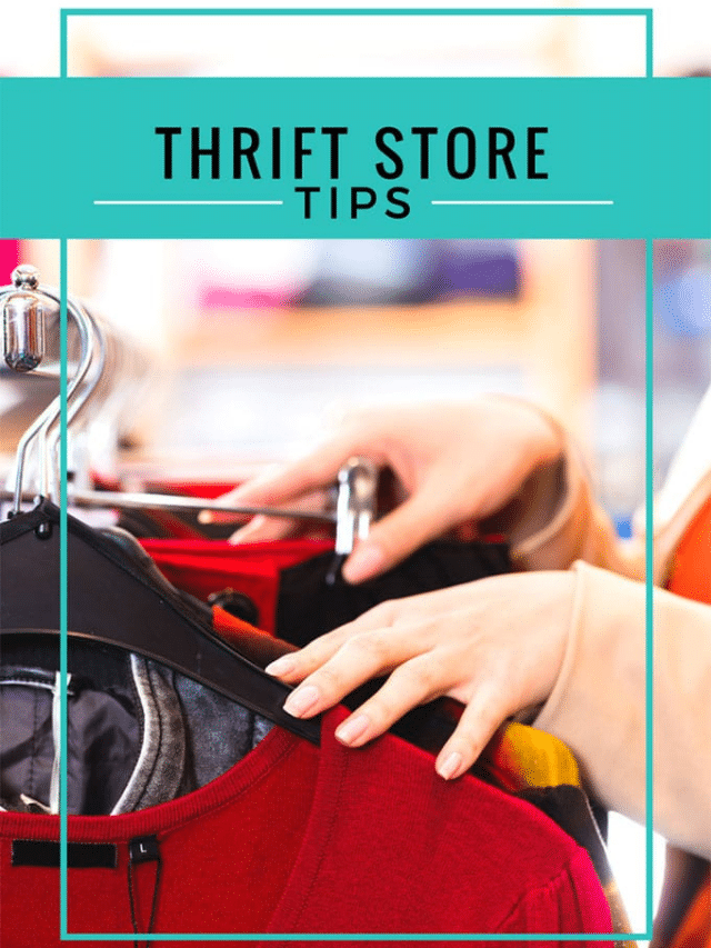 TOP 10 THRIFT STORE SHOPPING TIPS STORY