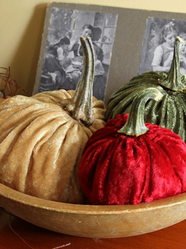 HOW TO MAKE VELVET PUMPKINS story