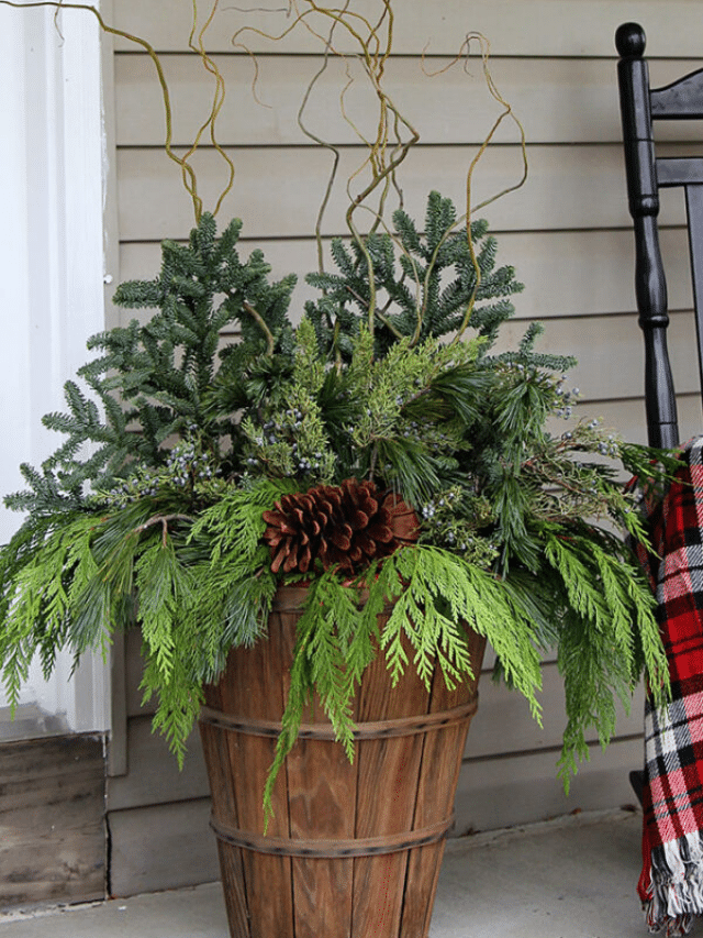 HOW TO MAKE WINTER PORCH POTS story