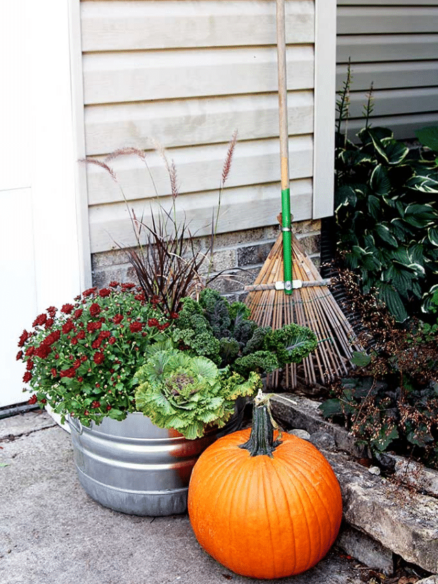 HOW TO MAKE FALL OUTDOOR PLANTERS story