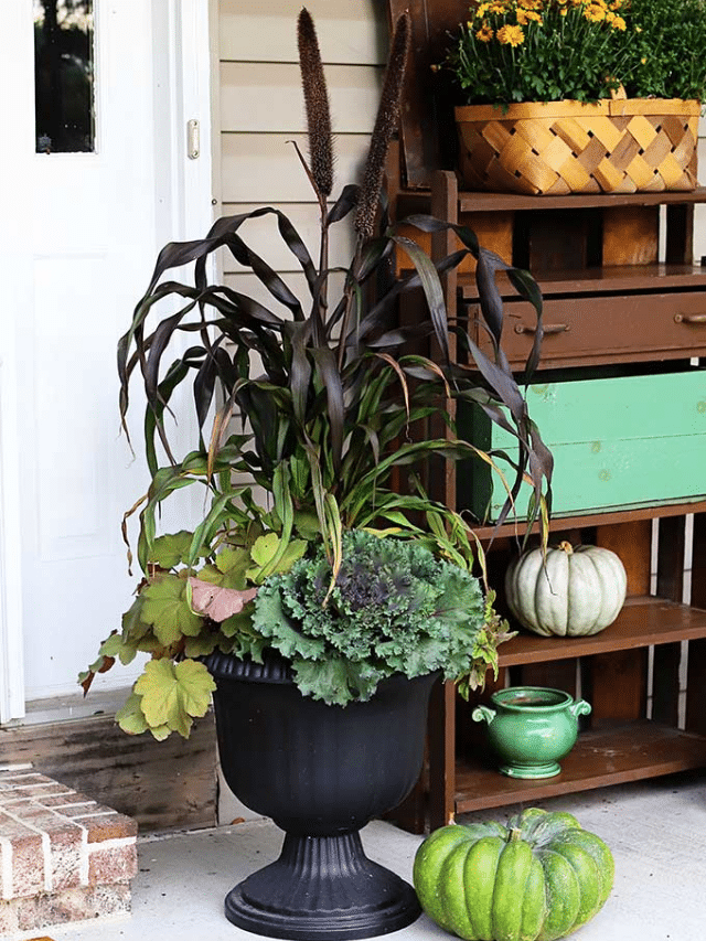 MAKING A FALL FOLIAGE PLANTER story