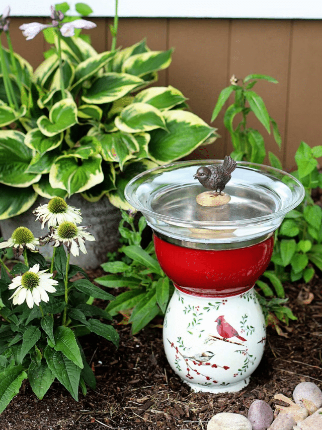 DIY BIRD BATH | THRIFT STORE EDITION (Story)