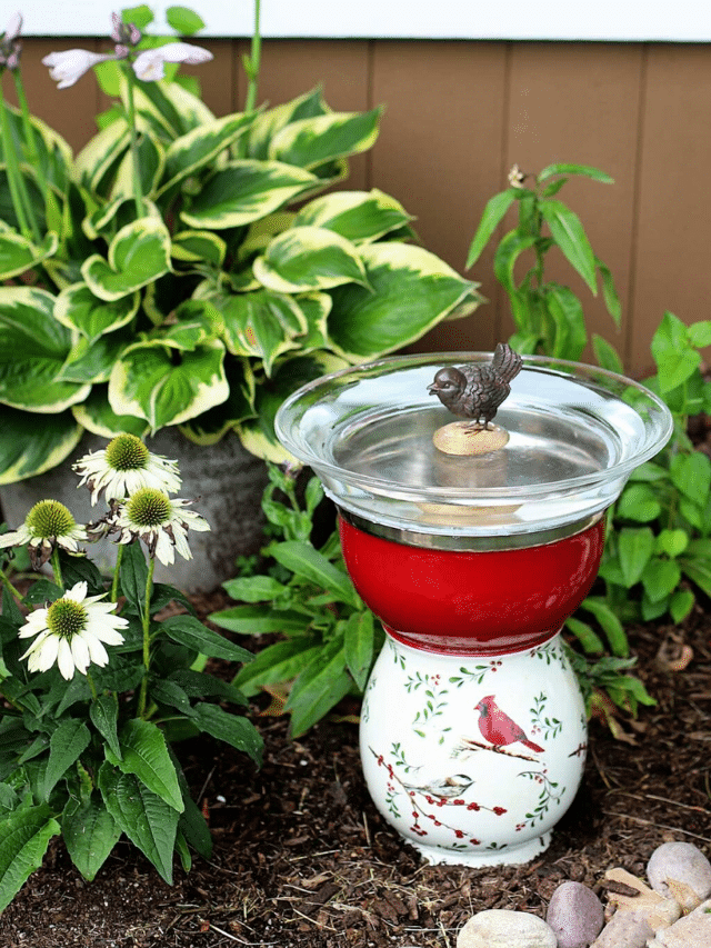 DIY bird bath made with thrift store plates and vases.