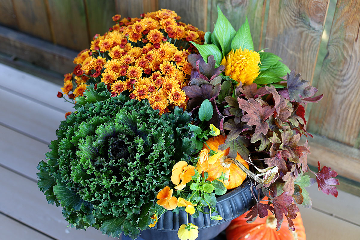 Fall Planter Idea - How To Make a Fall Urn Planter Filler