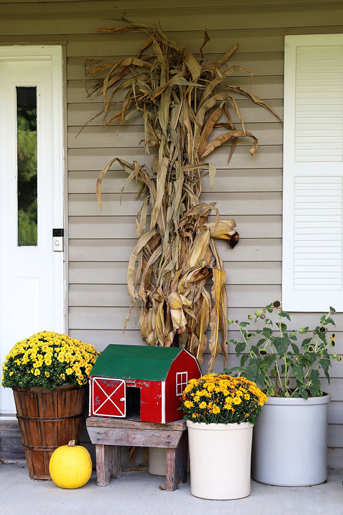 Farmhouse fall front porch decor using yellow and orange mums, sunflowers and cornstalks. 