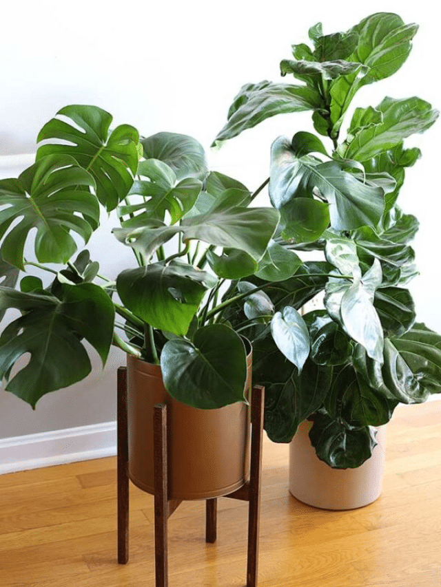 MID CENTURY PLANT STAND DIY story