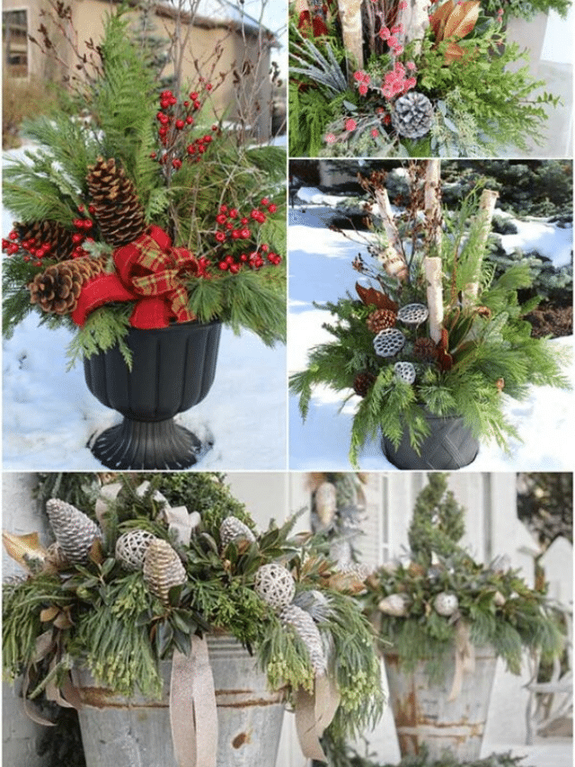 20 BEAUTIFUL WINTER PLANTER IDEAS story