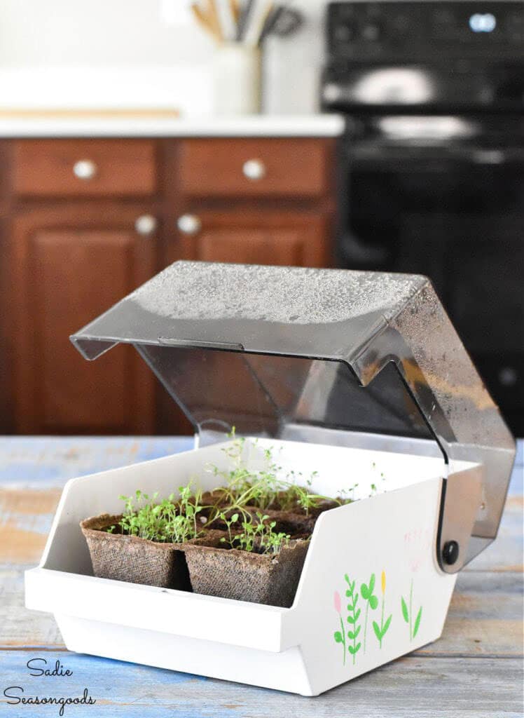 A floppy disk holder from the 90's is upcycled into a mini indoor greenhouse.