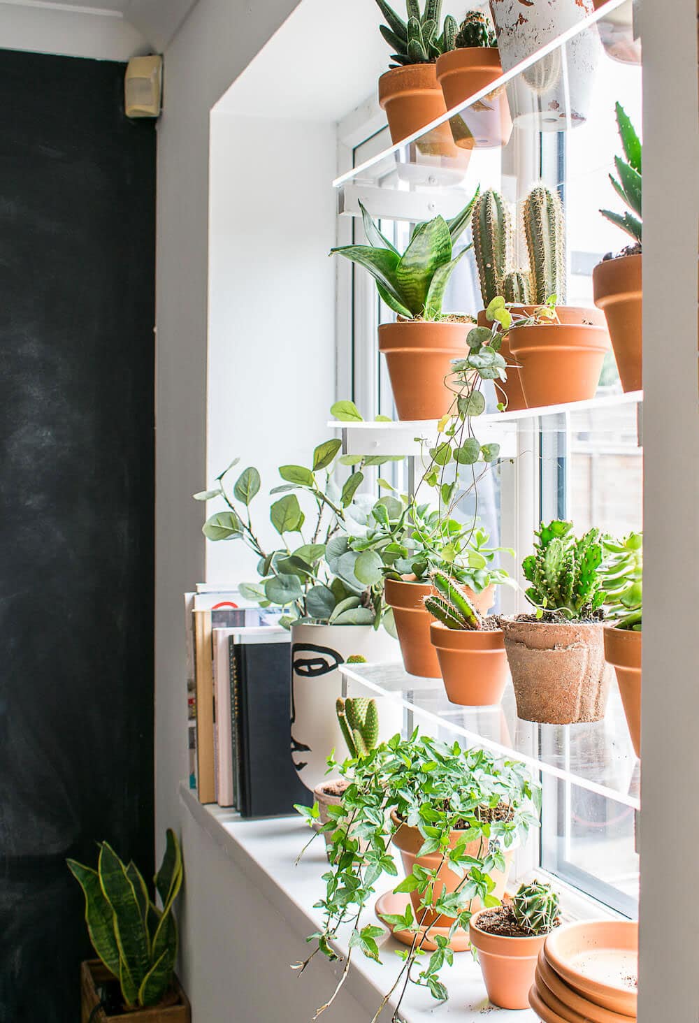 Floating shelf to display plants in your windows.