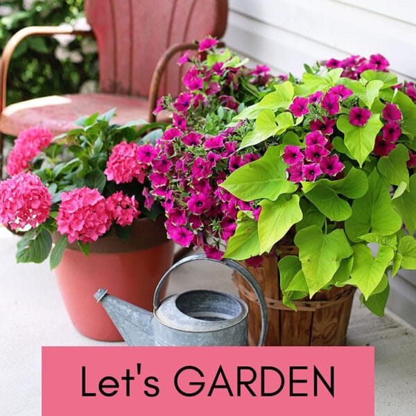 Gardening