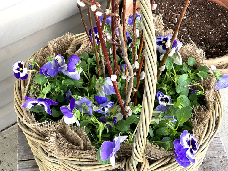 How To Make Planters Out Of Baskets (A DIY Guide) House of Hawthornes