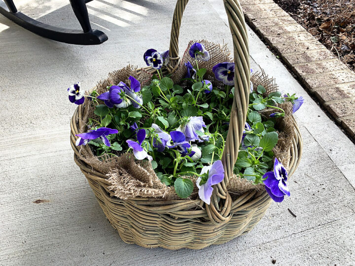 How To Make Planters Out Of Baskets (A DIY Guide) - House of Hawthornes