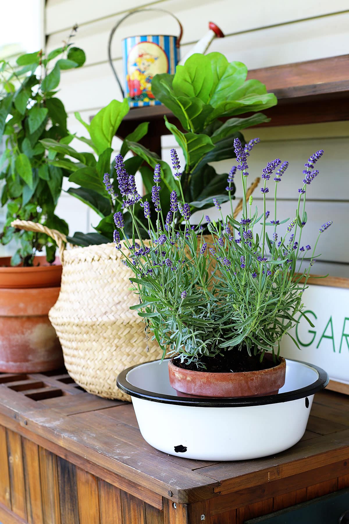 Learn how to repurpose inexpensive plastic bowls into vintage farmhouse-style enamelware basins. Great to use as outdoor planters or as farmhouse decor in your home.