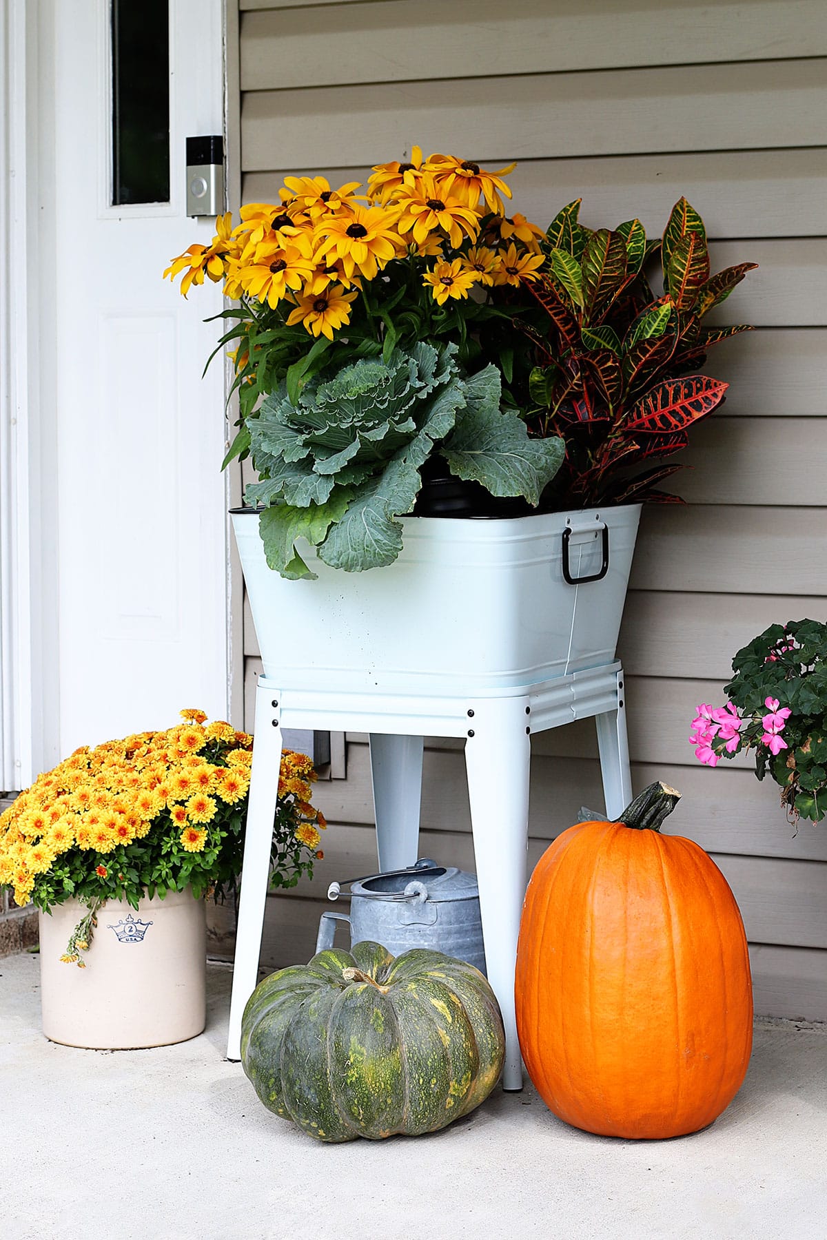 Back-eyed Susan, ornamental cabbage and crotons in an enamelware wash tub for fall porch decor. 