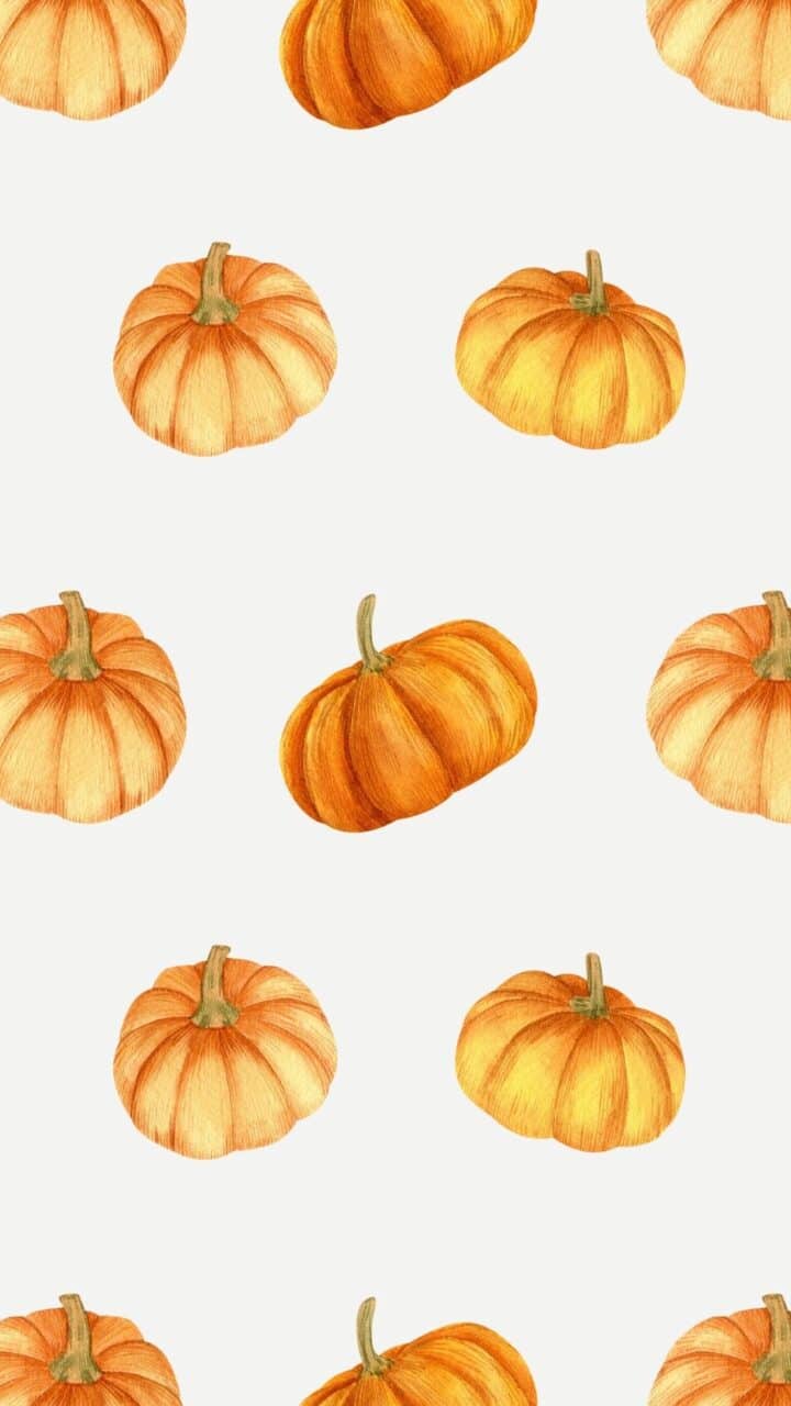 Fall iPhone Wallpaper Backgrounds - Free To Download